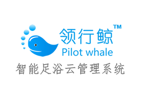 领行鲸足浴系统 领行鲸足浴系统